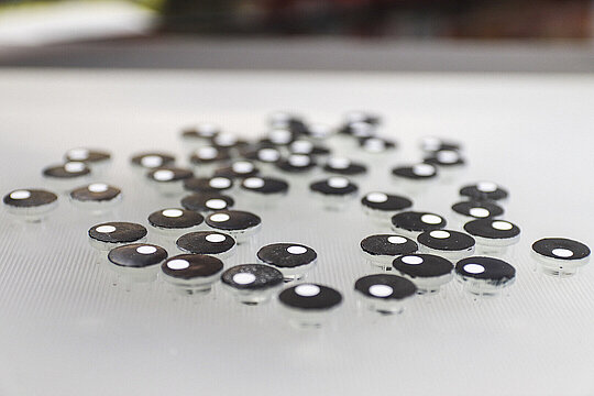 Viele runde Mikroroboter auf einer weißen Platte. Jeder von ihnen ist kreisförmig, hat eine schwarze Oberfläche mit einem weißen Punkt und kleine, geknickte Beinchen.