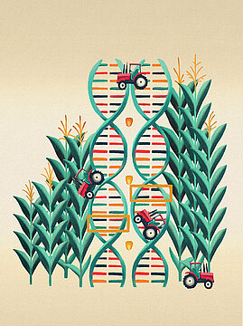 Grafische Illustration: In der Mitte zwei vertikale DNA-Stränge, links und rechts darum Maispflanzen. Auf der DNA fahren Traktoren.