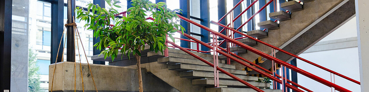 Ein Treppenaufgang in der MUHS.